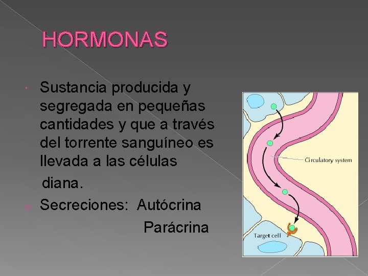 HORMONAS Sustancia producida y segregada en pequeñas cantidades y que a través del torrente
