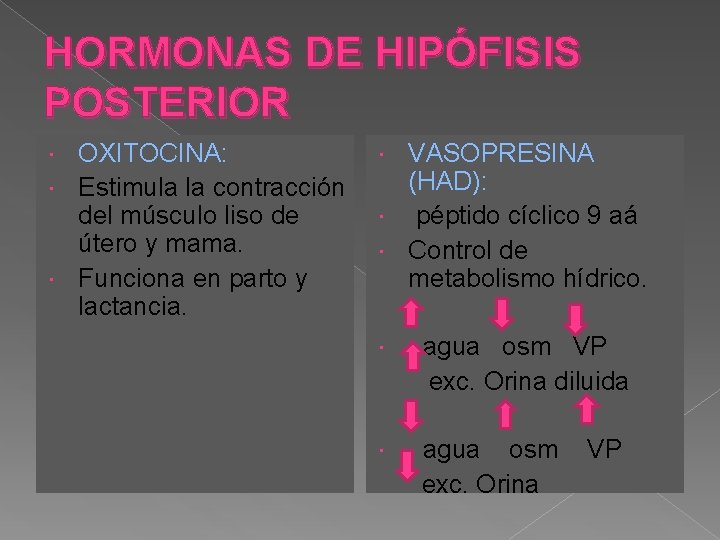HORMONAS DE HIPÓFISIS POSTERIOR OXITOCINA: Estimula la contracción del músculo liso de útero y