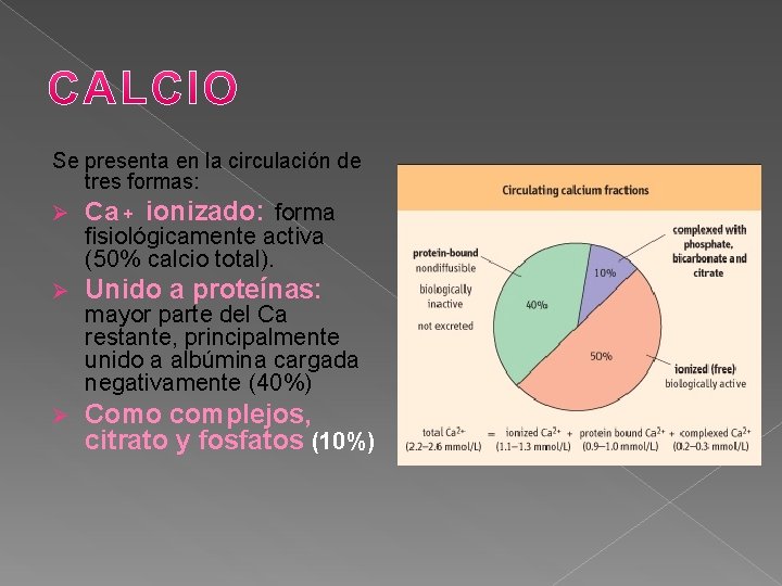 Se presenta en la circulación de tres formas: Ø Ca + ionizado: forma fisiológicamente