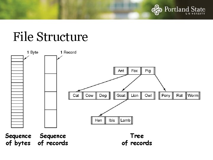 File Structure q asd Sequence of bytes Sequence of records Tree of records 