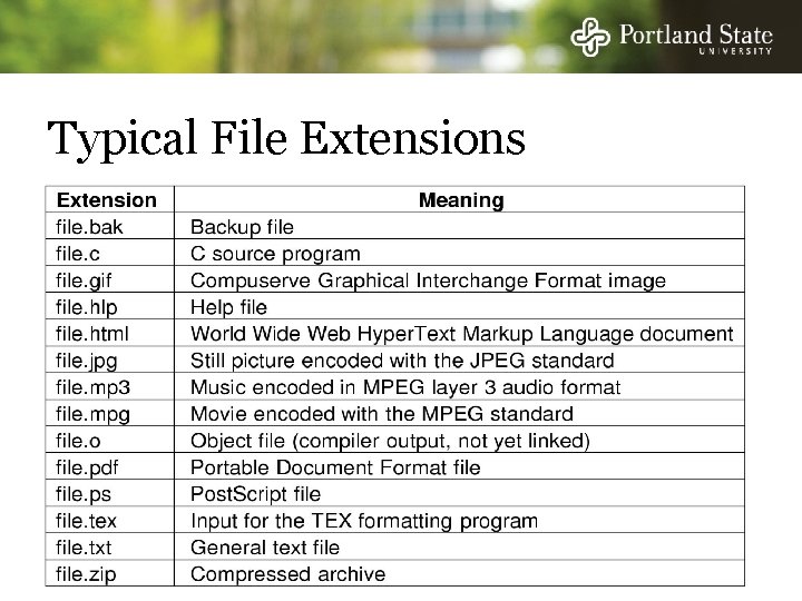 Typical File Extensions 