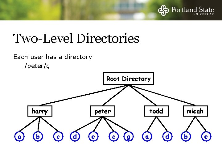 Two-Level Directories Each user has a directory /peter/g Root Directory harry a b peter