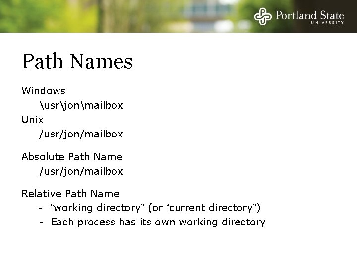 Path Names Windows usrjonmailbox Unix /usr/jon/mailbox Absolute Path Name /usr/jon/mailbox Relative Path Name -