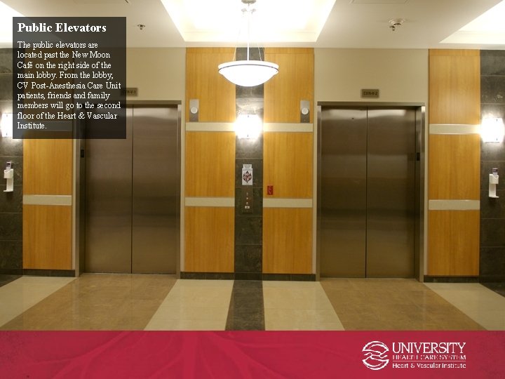 Public Elevators The public elevators are located past the New Moon Café on the Public Elevators The public elevators are located past the New Moon Café on the