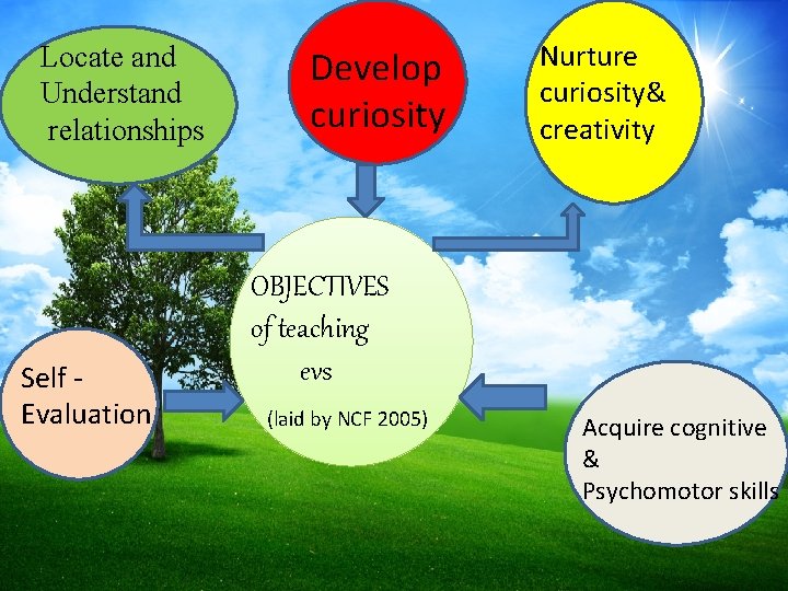 Locate and Understand relationships Self Evaluation Develop curiosity Nurture curiosity& creativity OBJECTIVES of teaching
