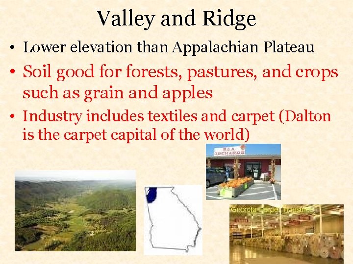 Valley and Ridge • Lower elevation than Appalachian Plateau • Soil good forests, pastures,
