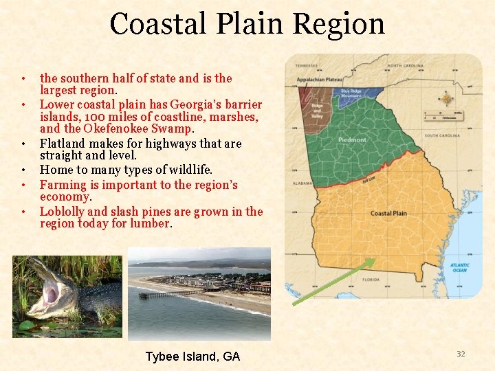 Coastal Plain Region • • • the southern half of state and is the