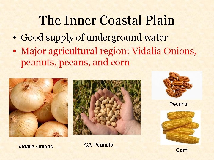 The Inner Coastal Plain • Good supply of underground water • Major agricultural region: