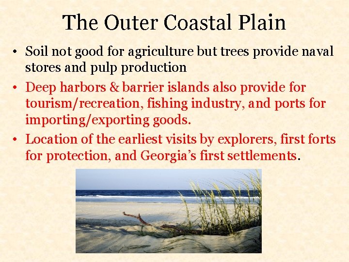 The Outer Coastal Plain • Soil not good for agriculture but trees provide naval