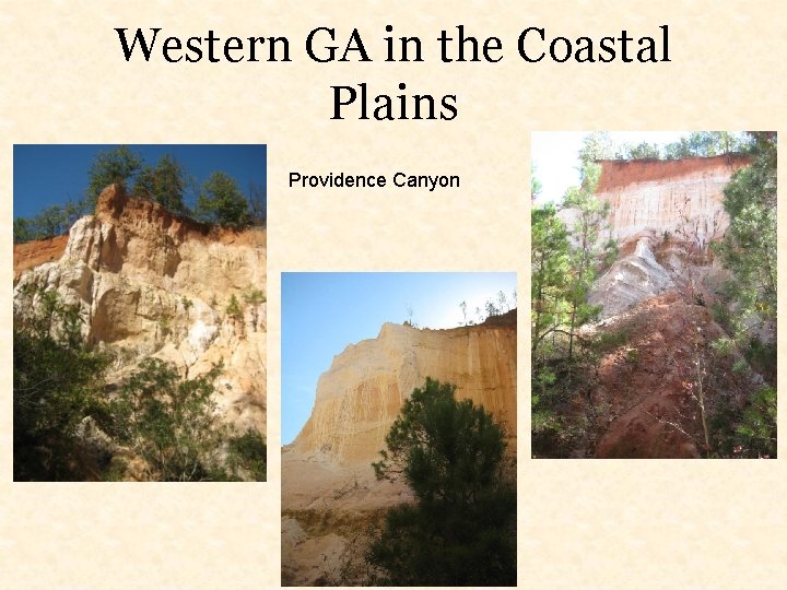 Western GA in the Coastal Plains Providence Canyon 