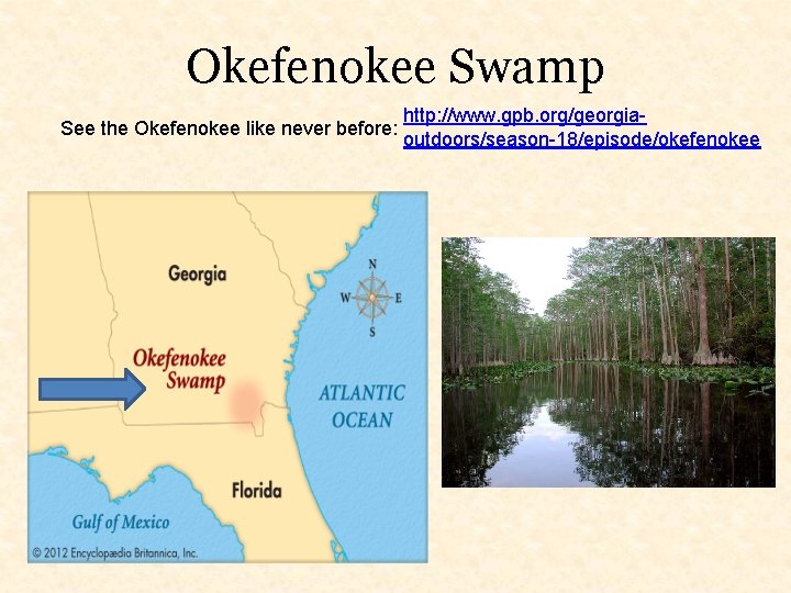 Okefenokee Swamp See the Okefenokee like never before: http: //www. gpb. org/georgiaoutdoors/season-18/episode/okefenokee 