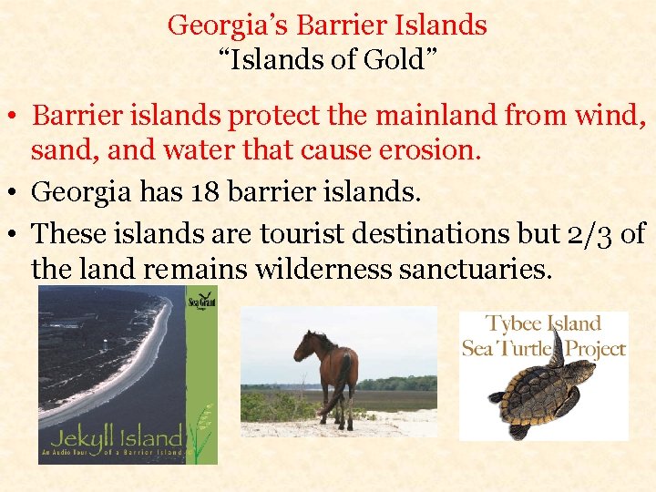 Georgia’s Barrier Islands “Islands of Gold” • Barrier islands protect the mainland from wind,