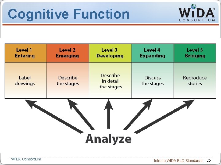 Cognitive Function WIDA Consortium Intro to WIDA ELD Standards 25 