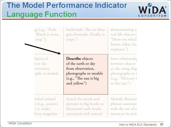 The Model Performance Indicator Language Function WIDA Consortium Intro to WIDA ELD Standards 30