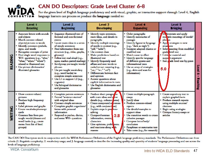 5. 0 3. 8 WIDA Consortium Intro to WIDA ELD Standards 47 