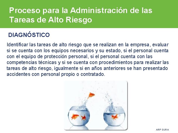 Proceso para la Administración de las Tareas de Alto Riesgo DIAGNÓSTICO Identificar las tareas