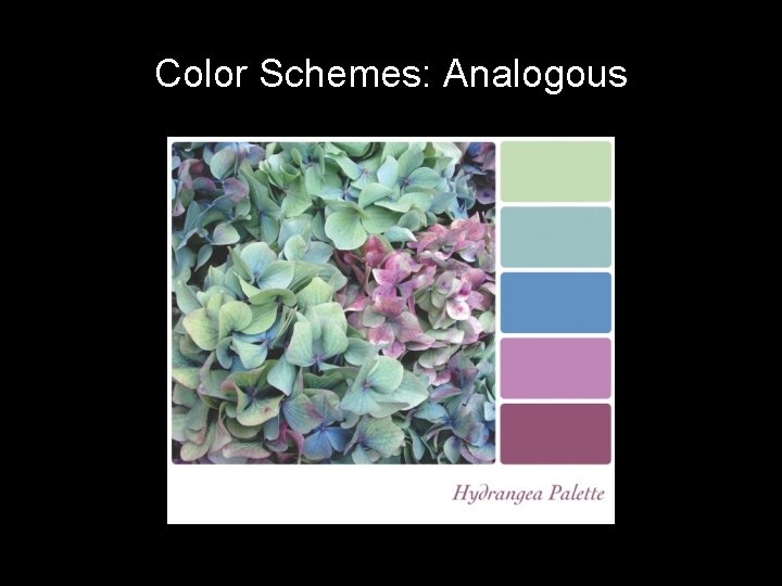 Color Schemes: Analogous 