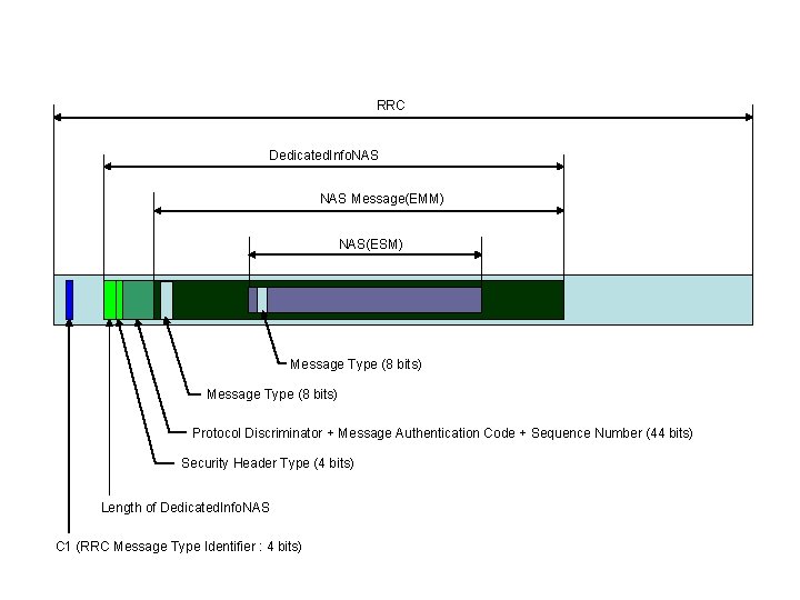 RRC Dedicated. Info. NAS Message(EMM) NAS(ESM) Message Type (8 bits) Protocol Discriminator + Message