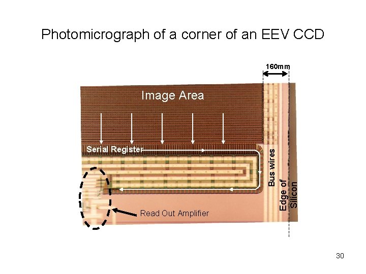 Photomicrograph of a corner of an EEV CCD 160 mm Read Out Amplifier Edge