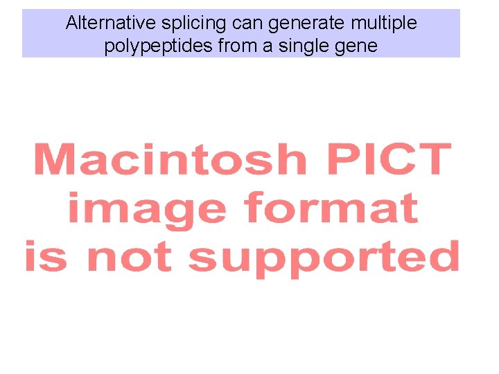 Alternative splicing can generate multiple polypeptides from a single gene 