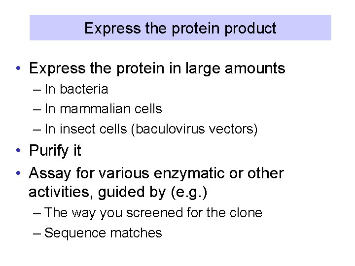 Express the protein product • Express the protein in large amounts – In bacteria