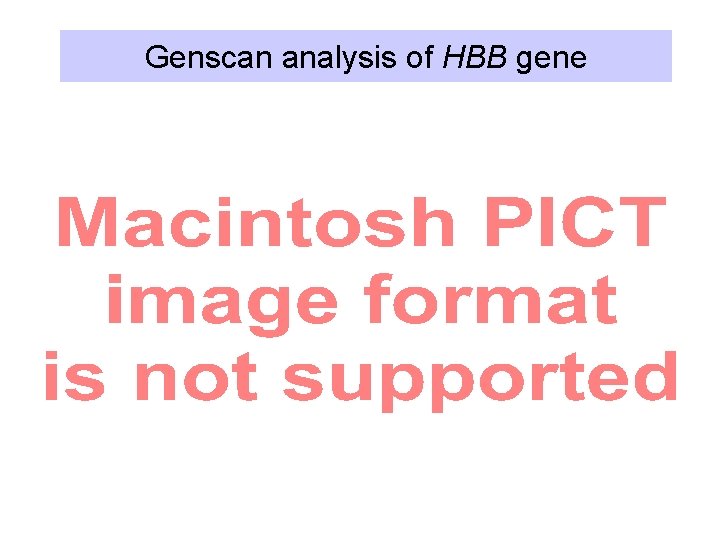 Genscan analysis of HBB gene 