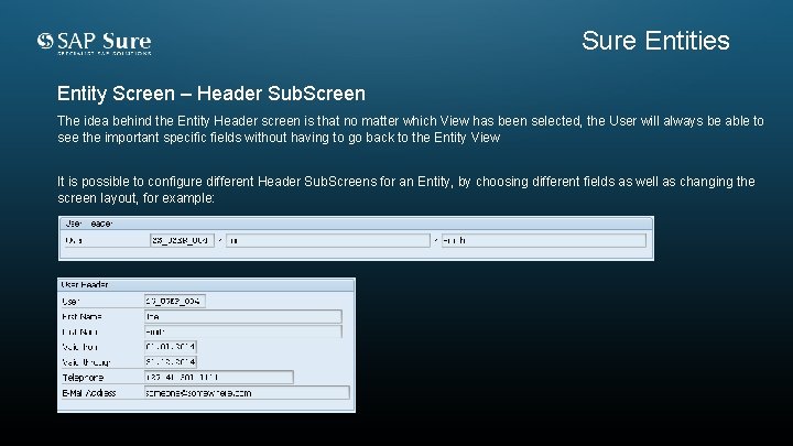 Sure Entities Entity Screen – Header Sub. Screen The idea behind the Entity Header