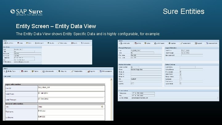 Sure Entities Entity Screen – Entity Data View The Entity Data View shows Entity