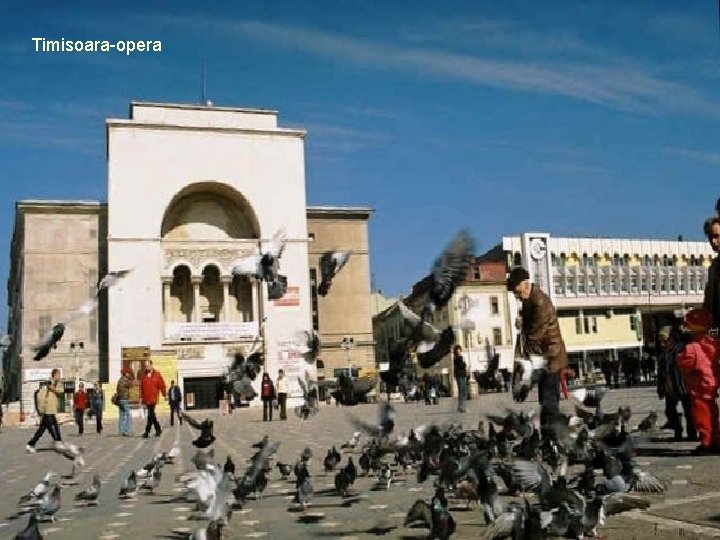 Timisoara-opera 