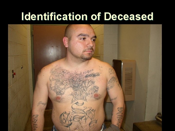Identification of Deceased 