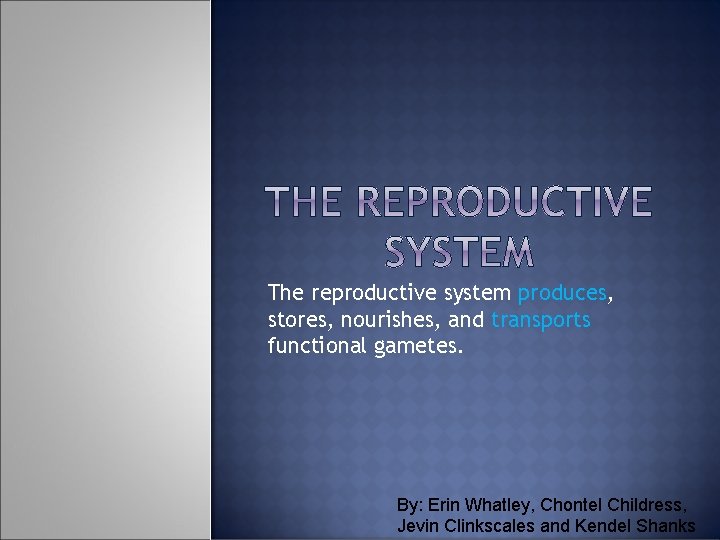 The reproductive system produces, stores, nourishes, and transports functional gametes. By: Erin Whatley, Chontel