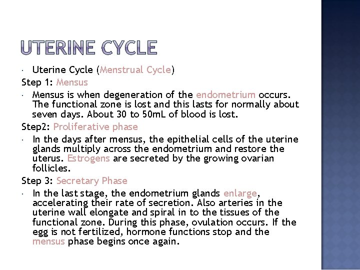 Uterine Cycle (Menstrual Cycle) Step 1: Mensus is when degeneration of the endometrium occurs.