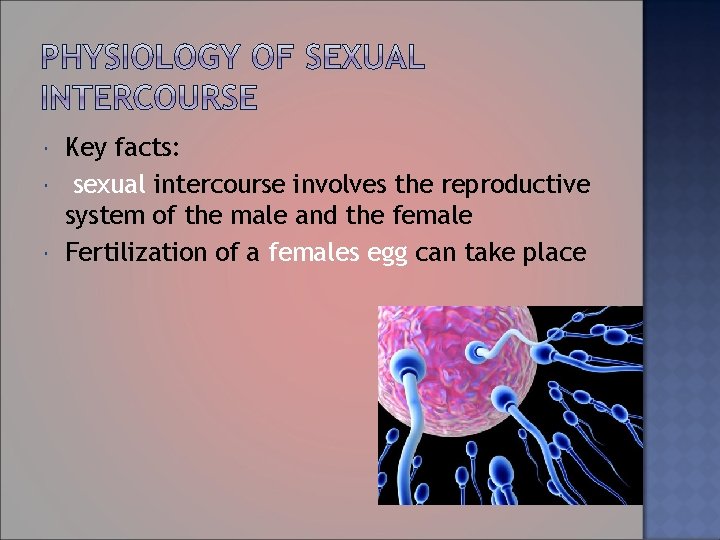  Key facts: sexual intercourse involves the reproductive system of the male and the