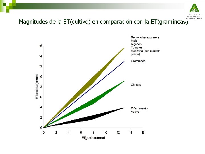 Magnitudes de la ET(cultivo) en comparación con la ET(gramíneas) 