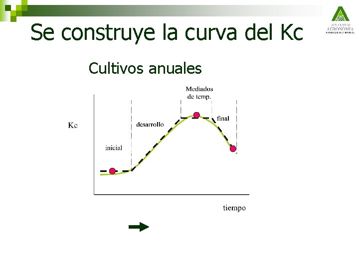Se construye la curva del Kc Cultivos anuales 