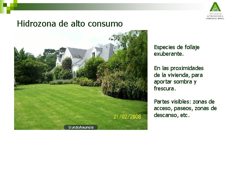 Hidrozona de alto consumo Especies de follaje exuberante. En las proximidades de la vivienda,