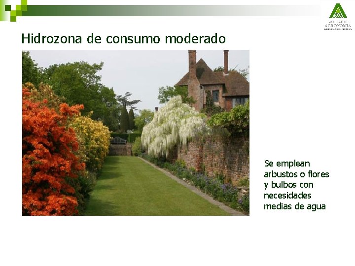 Hidrozona de consumo moderado Se emplean arbustos o flores y bulbos con necesidades medias