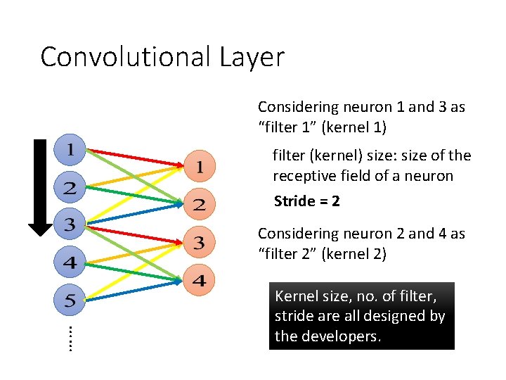 Convolutional Layer Considering neuron 1 and 3 as “filter 1” (kernel 1) filter (kernel)