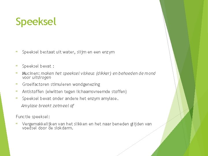 Speeksel bestaat uit water, slijm en enzym Speeksel bevat : Mucinen: maken het speeksel
