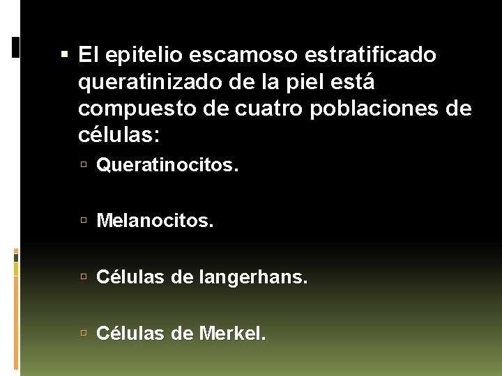  El epitelio escamoso estratificado queratinizado de la piel está compuesto de cuatro poblaciones