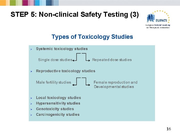 STEP 5: Non-clinical Safety Testing (3) European Patients’ Academy on Therapeutic Innovation 16 