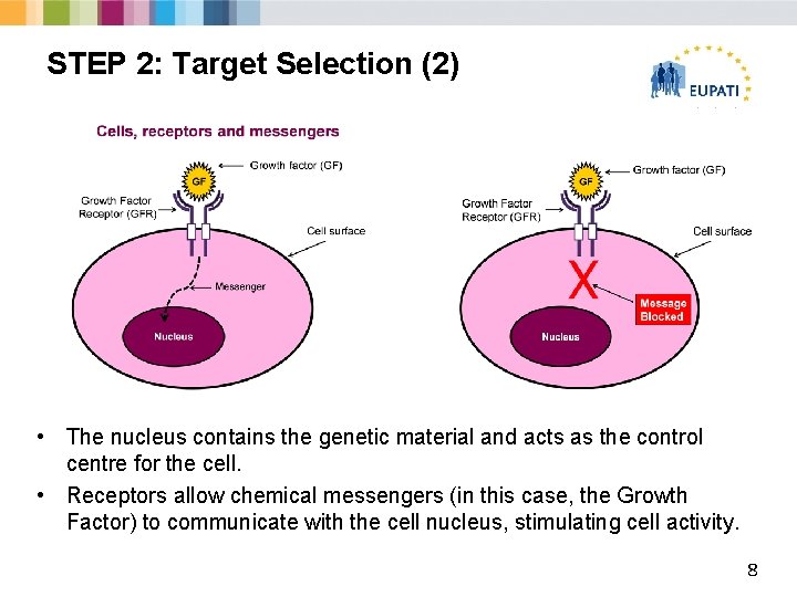 STEP 2: Target Selection (2) European Patients’ Academy on Therapeutic Innovation • The nucleus