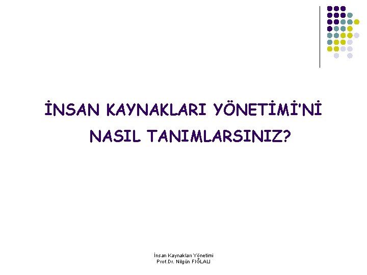 İNSAN KAYNAKLARI YÖNETİMİ’Nİ NASIL TANIMLARSINIZ? İnsan Kaynakları Yönetimi Prof. Dr. Nilgün FIĞLALI 