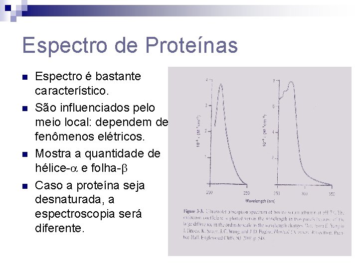 Espectro de Proteínas n n Espectro é bastante característico. São influenciados pelo meio local: