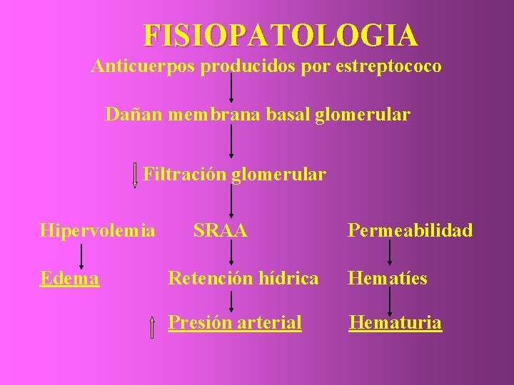 FISIOPATOLOGIA Anticuerpos producidos por estreptococo Dañan membrana basal glomerular Filtración glomerular Hipervolemia Edema SRAA