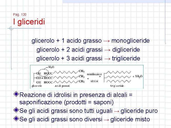 Pag. 120 I gliceridi glicerolo + 1 acido grasso → monogliceride glicerolo + 2