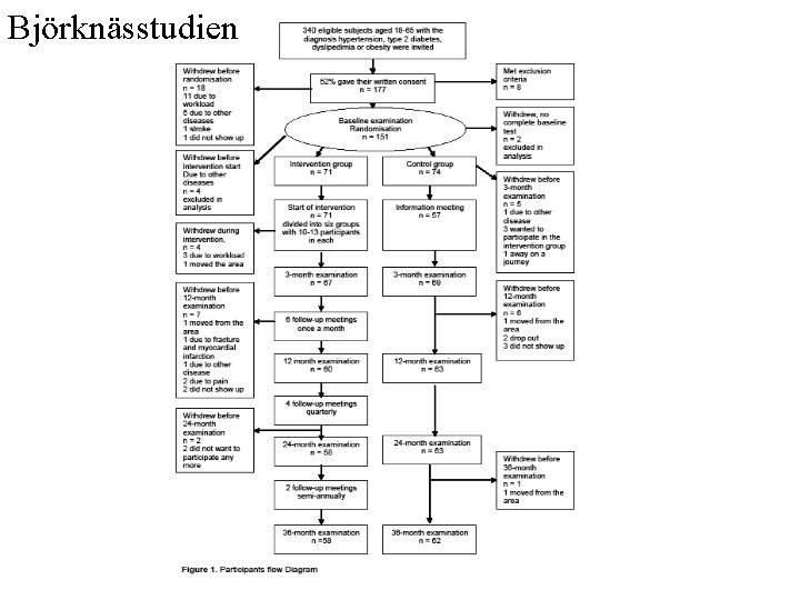 Björknässtudien 