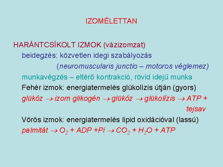 IZOMÉLETTAN HARÁNTCSÍKOLT IZMOK (vázizomzat) beidegzés: közvetlen idegi szabályozás (neuromuscularis junctio – motoros véglemez) munkavégzés