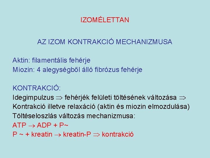 IZOMÉLETTAN AZ IZOM KONTRAKCIÓ MECHANIZMUSA Aktin: filamentális fehérje Miozin: 4 alegységből álló fibrózus fehérje