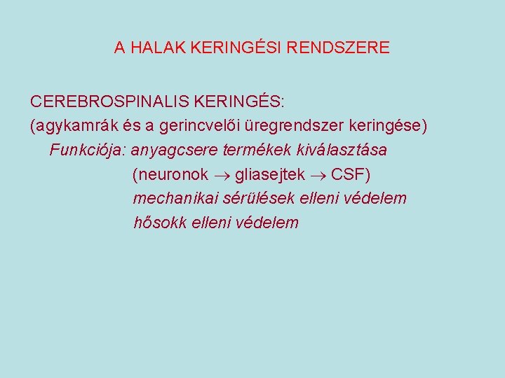 A HALAK KERINGÉSI RENDSZERE CEREBROSPINALIS KERINGÉS: (agykamrák és a gerincvelői üregrendszer keringése) Funkciója: anyagcsere